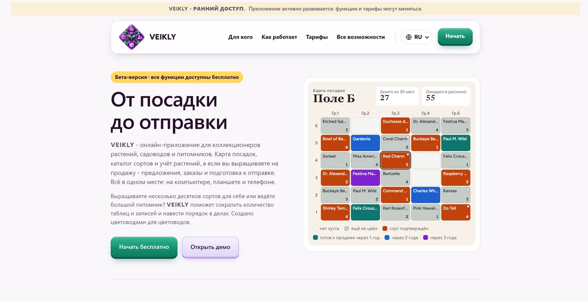 Главная страница лендинга VEIKLY